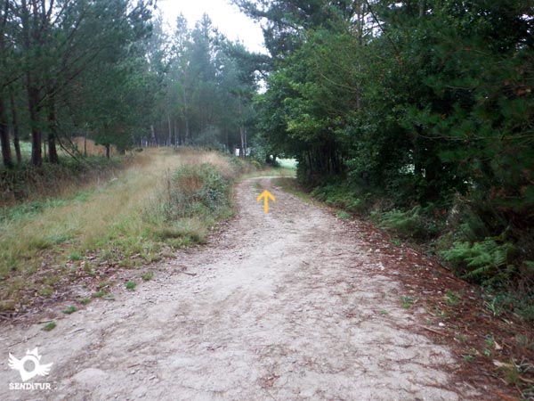 San Romao Da Retorta Melide Camino Primitivo Camino De Santiago